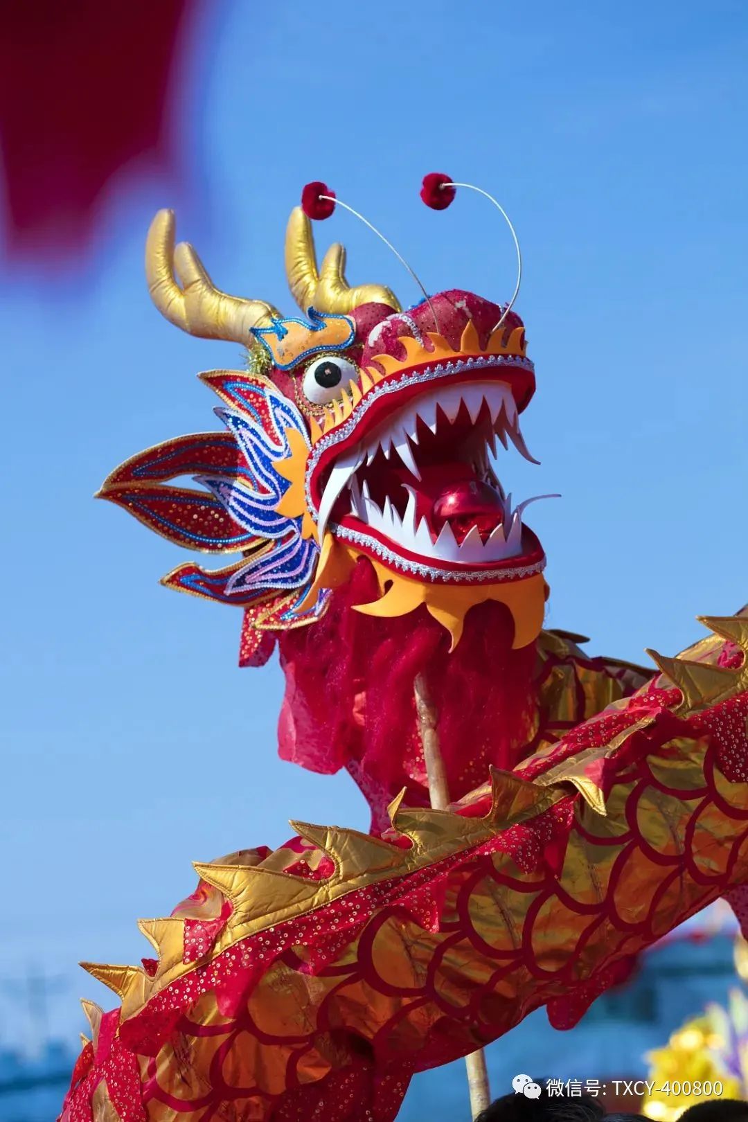 微信图片_20220304110707.jpg 微信图片_20220304110707.jpg