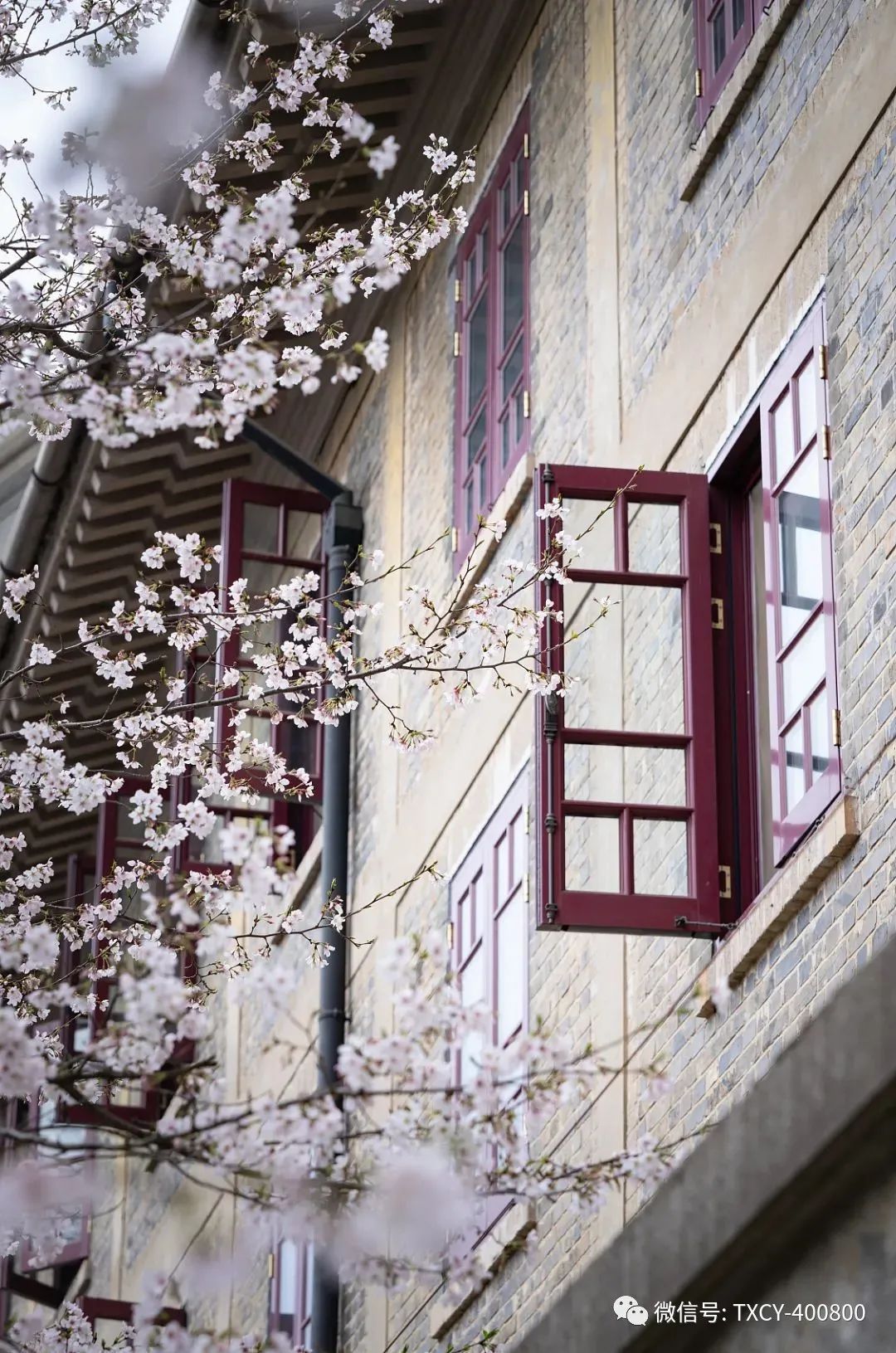 微信图片_20220304110738.jpg 微信图片_20220304110738.jpg